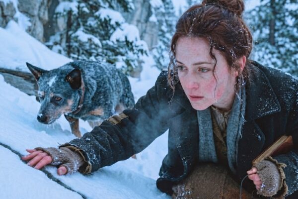 Her Dog Stopped Cold At The Hillside — Then She Found A Buried Shelter Stocked With Enough Food… 